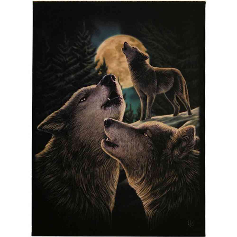 Something Different - Wolf Song Canvas afbeelding - Multicolours